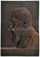 Maugsch Gyula (1882-1945) 1920 k. "Apponyi Albert" egyoldalas, öntött bronz plakett, hátoldalán akasztóval (128x185mm) T:XF patina