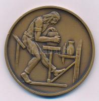 Csúcs Viktória (1934-) DN "Hollóháza" kétoldalas bronz emlékérem (60mm) T:AU,XF kis ph