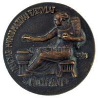 Csúcs Ferenc (1905-1999) 1946. "MCMI-XLVI - Magyar Numizmatikai Társulat / 1946" kétoldalas bronz emlékérem, peremén "29" sorszámmal (78mm) T:XF