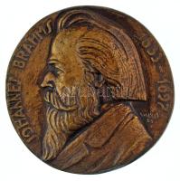 Solymári Valkó László (1909-1984) 1955. "Johannes Brahms 1833-1897" egyoldalas, vert, bronz plakett (85mm) T:AU
