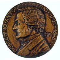 Solymári Valkó László (1909-1984) 1955. "Gioacchino Antonio Rossini 1702-1868" egyoldalas, öntött, bronz plakett (82mm) T:AU,XF patina