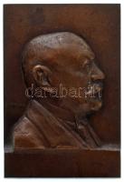 Barinka DN "Dr. Bakonyi Kálmán" egyoldalas, vert, bronz plakett (55x37mm) T:AU HP.: 731