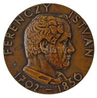 Beck Ö. Fülöp (1873-1945) 1930. "Ferenczy István 1792-1856 / Képfaragó és éremművészetünk úttörője" bronz emlékérem, Éremkedvelők Egyesületének tagsági érme, peremén "ÉKE 1930", sorszámozott, "76"-os sorszámmal (70mm) T:AU Hungary 1930. "Ferenczy István 1792-1856 / Képfaragó és éremművészetünk úttörője" bronze commemorative medallion, membership medal of the Association of Medal Enthusiasts, with "ÉKE 1930" and serial number "76" on edge Sign: Fülöp Beck Ö. (70mm) C:AU Adamo ÉKE28, TP.: 129.