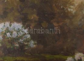 Olgyay Ferenc (1872-1939): Virágzó park. Olaj, vászon, jelezve jobbra lent. Hátoldalán régi MNG kivi...