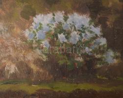 Olgyay Ferenc (1872-1939): Virágzó park. Olaj, vászon, jelezve jobbra lent. Hátoldalán régi MNG kivi...