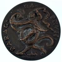 Csúcs Ferenc (1905-1999) 1949. "Dr. Illyés László 1949 / Parag-ra-phuss" kétoldalas, öntöt...