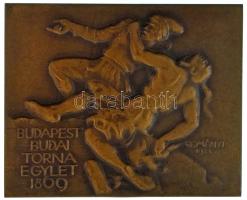 1937. "Budapesti Budai Torna Egylet 1869" bronz emlékplakett, "LUDVIG" gyártói jelzéssel. Szign.: Reményi József (1887-1977) (50x62mm) T:AU HP 2210.