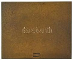 1937. "Budapesti Budai Torna Egylet 1869" bronz emlékplakett, "LUDVIG" gyártói j...