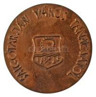 Kiss Sándor (1925-1999) DN "Salgótarján Város Tanácsától" kétoldalas, öntött bronz érdemérem (95mm) T:AU patina