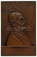 Zala György (1858-1937) 1909. "Kautz Gyula" egyoldalas, vert bronz plakett. "1829-1909 KAUTZ GYULA, A TUDÓSNAK, A POLGÁRNAK TANÍTVÁNYAI ÉS TISZTELŐI" Szign.: Zala Gy. (58x91mm) T:AU