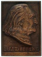 Solymári Valkó László (1909-1984) 1954. "Liszt Ferenc" egyoldalas, öntött, bronz emlékplakett (65x90mm) T:AU patina