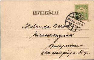 1903 Arad, Salacz park. Bloch H. nyomdája kiadása / park (EK)