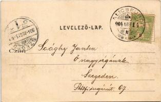 1904 Palics, Palic; részlet, fürdő. Heumann Mór kiadása / view, spa