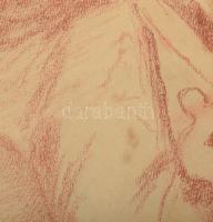 Spányik Kornél (1858-1943): Kisbaconi Benedek Márta portréja. Kréta, papír, kissé foltos, jelzett, p...