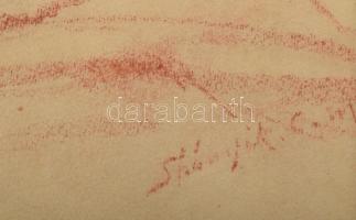 Spányik Kornél (1858-1943): Kisbaconi Benedek Márta portréja. Kréta, papír, kissé foltos, jelzett, p...