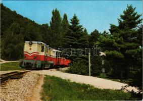 Budapest XII. Úttörővasút állomása, vasútállomás. Képzőművészeti Alap (EK)