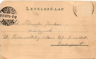 1900 Budapest XIII. Margitszigeti vízesés és gyógyforrás. Ganz Antal 104. (EM)