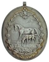 Ausztria DN "Emlékérem lótenyésztésért" jelzett Ag emlékérme Szign.:Jauner (33,38g/53x42mm...