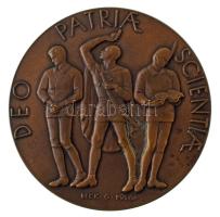 Beck Ö. Fülöp (1873-1945) 1931. "400 éves a pápai Református Kollégium" kétoldalas, vert bronz emlékérem. "QVATTVOR SAECVLIS FELICITER PERACTIS - COLLEGIVM REFORMAT PAPENSE - MDXXXI-MDCCCCXXXI / DEO - PATRIAE - SCIENTIAE" (60mm) T:AU patina