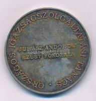 Bogár Lívia (1957-) DN "Országos Igazságszolgáltatási Tanács - Juhász Andor Díj Ezüst Fokozata" ezüstözött bronz díjérem tokban (42,5mm) T:AU patina