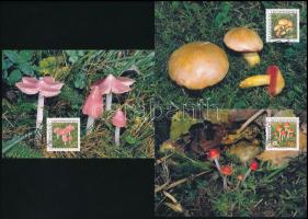 Liechtenstein 2000 (3 db)