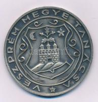 1970-1980 k. "Veszprém Megye Tanácsa" ezüstözött bronz emlékérem (70mm) T:AU,XF