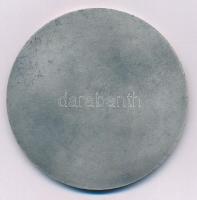 1970-1980 k. "Veszprém Megye Tanácsa" ezüstözött bronz emlékérem (70mm) T:AU,XF