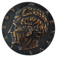 Madarassy Walter (1909-1994) DN "Sárdy Brutus" kétoldalas, öntött bronz (64mm) T:XF