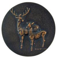 Madarassy Walter (1909-1994) DN "Sárdy Brutus" kétoldalas, öntött bronz (64mm) T:XF