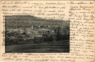 1906 Abrudbánya, Abrud; látkép. Róth Ferenc kiadása / general view