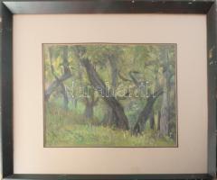 Hikádi Erzsébet (1911-2008): Erdőrészlet. Olaj, papír, jelezve balra lent, üvegezett fakeretben, 29×38 cm