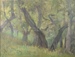 Hikádi Erzsébet (1911-2008): Erdőrészlet. Olaj, papír, jelezve balra lent, üvegezett fakeretben, 29×...