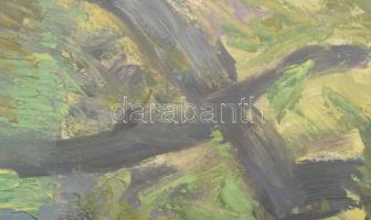 Hikádi Erzsébet (1911-2008): Erdőrészlet. Olaj, papír, jelezve balra lent, üvegezett fakeretben, 29×...