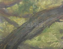 Hikádi Erzsébet (1911-2008): Erdőrészlet. Olaj, papír, jelezve balra lent, üvegezett fakeretben, 29×...