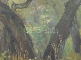 Hikádi Erzsébet (1911-2008): Erdőrészlet. Olaj, papír, jelezve balra lent, üvegezett fakeretben, 29×...