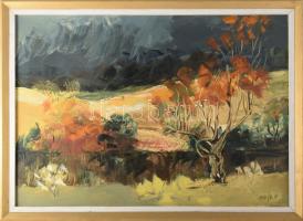 Szejke Vilmos (1942-1992), Szatmárnémetiből származó festő: Táj. Olaj, vászon, dekoratív fakeretben, 50×70 cm