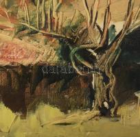 Szejke Vilmos (1942-1992), Szatmárnémetiből származó festő: Táj. Olaj, vászon, dekoratív fakeretben,...