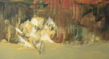 Szejke Vilmos (1942-1992), Szatmárnémetiből származó festő: Táj. Olaj, vászon, dekoratív fakeretben,...