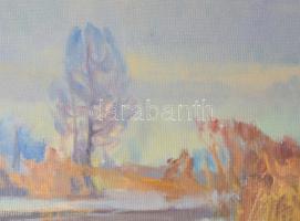 Babinetz, I.M. (-), orosz festő: Téli táj, 1996. Olaj, farost, dekoratív fakeretben, 46,5×85,5 cm