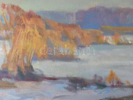 Babinetz, I.M. (-), orosz festő: Téli táj, 1996. Olaj, farost, dekoratív fakeretben, 46,5×85,5 cm