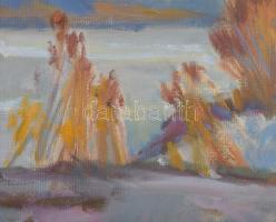 Babinetz, I.M. (-), orosz festő: Téli táj, 1996. Olaj, farost, dekoratív fakeretben, 46,5×85,5 cm