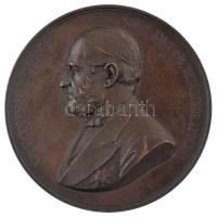 Ausztria 1879. "Antonius Eques de Schmerling" kétoldalas bronz emlékérem. Szign.: Anton Scharff (67mm) T:XF patina Austria 1879. "Antonius Eques de Schmerling" double-sided bronze medallion. Sign.: Anton Scharff (67mm) C:XF patina