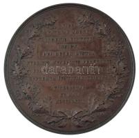 Ausztria 1879. "Antonius Eques de Schmerling" kétoldalas bronz emlékérem. Szign.: Anton Sc...