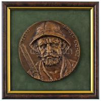 Domonkos Béla (1934-2020) 2009. "Teleki Sámuel 1845-1916" egyoldalas, öntött bronz plakett, keretben. Keret hátulján alkotó szignójával ajándékozási szöveg. (~105mm, keret: 168x168mm) T:AU