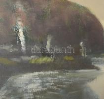 Nagy Ernő Sándor (1926-2013): Vízpart. Olaj, farost. Jelzett. Hátoldalán autográf felirattal. Fakere...