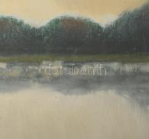 Nagy Ernő Sándor (1926-2013): Vízpart. Olaj, farost. Jelzett. Hátoldalán autográf felirattal. Fakere...