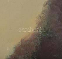 Nagy Ernő Sándor (1926-2013): Vízpart. Olaj, farost. Jelzett. Hátoldalán autográf felirattal. Fakere...