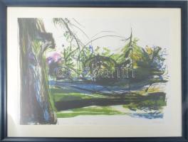 Szirányi István (1951-): A park. Litográfia, papír, jelzett, művészpéldány EA VIII/XV számozással, üvegezett fakeretben. 49x67 cm.