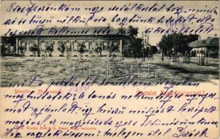 1909 Nagyszalonta, Salonta; Piactér, Fő utca. Fábián L. Dezső kiadása / market square, main street (EK)