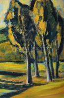 Tábori József (1928-2001): Tiszapart, Mártély. Olaj, vászon. Jelzett. Fakeretben, 60x73 cm